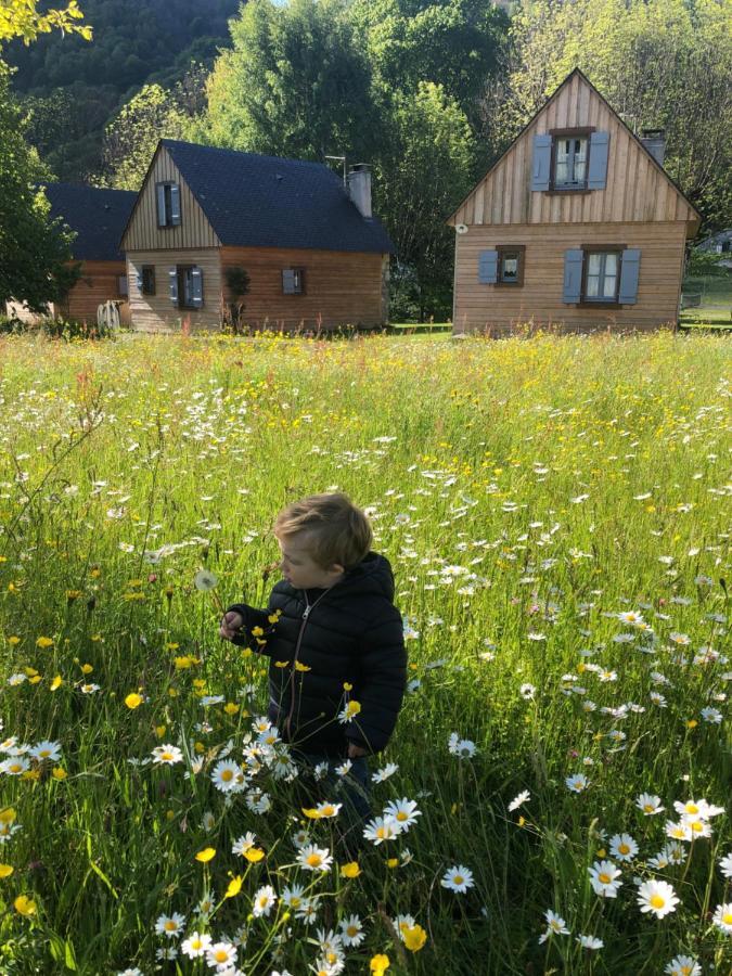 Les Chalets D'Arrens 外观 照片